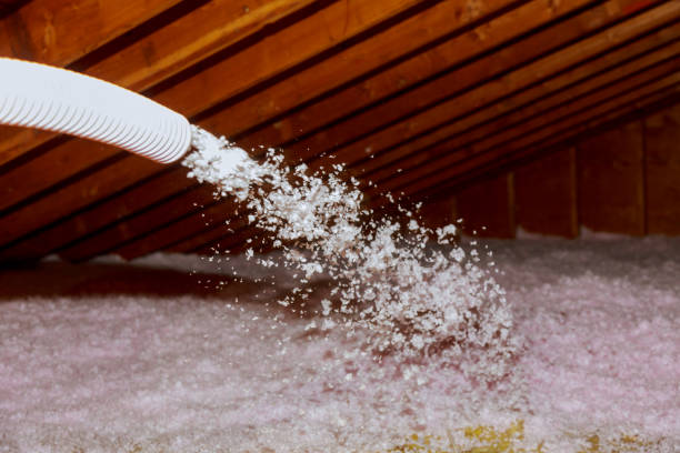 Best Insulation Materials and Products in Claude, TX